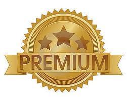 premium logo